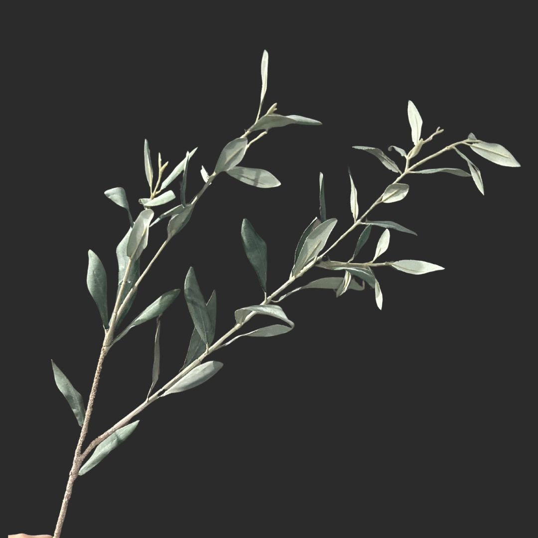 The Olive Leaves