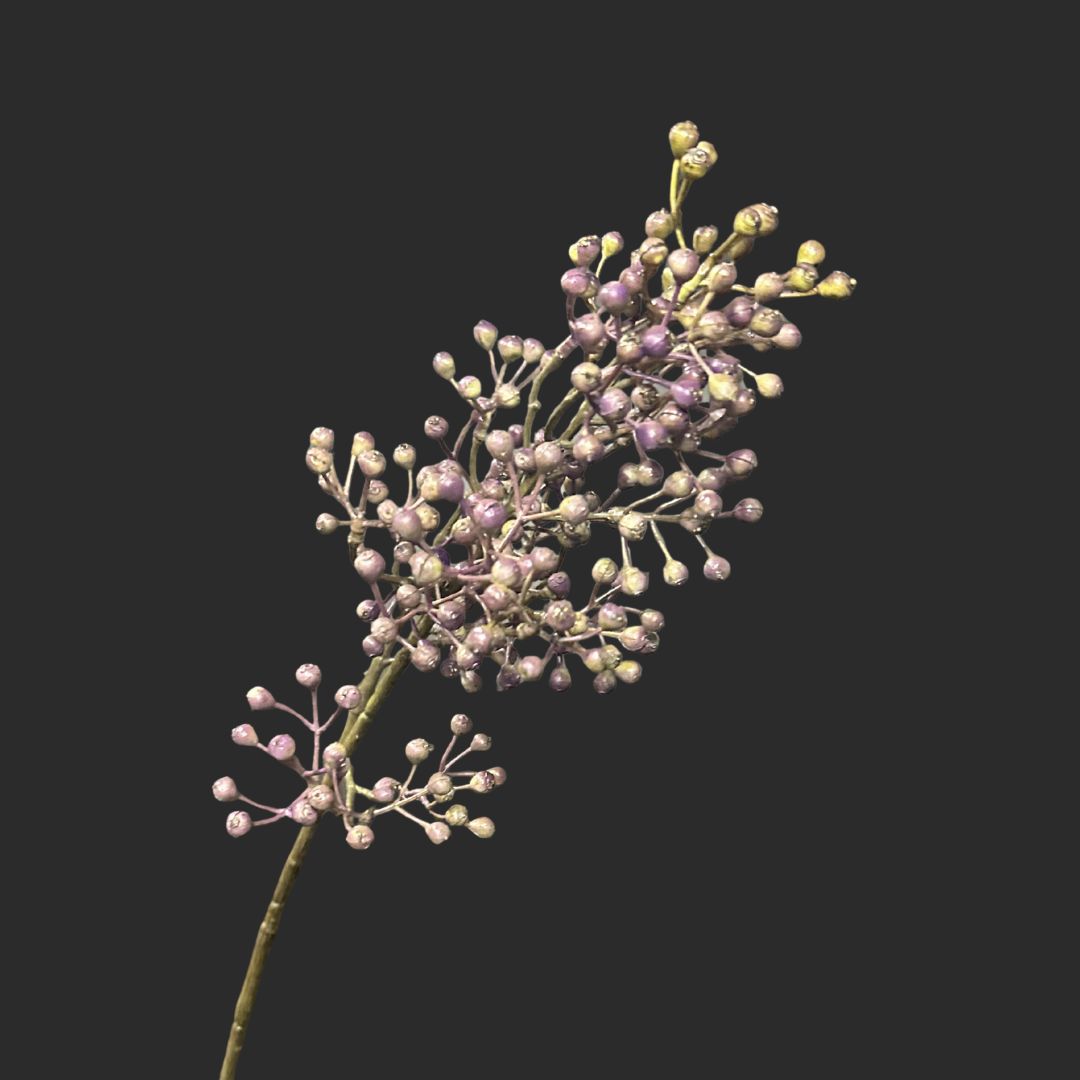 The Lavender Berry
