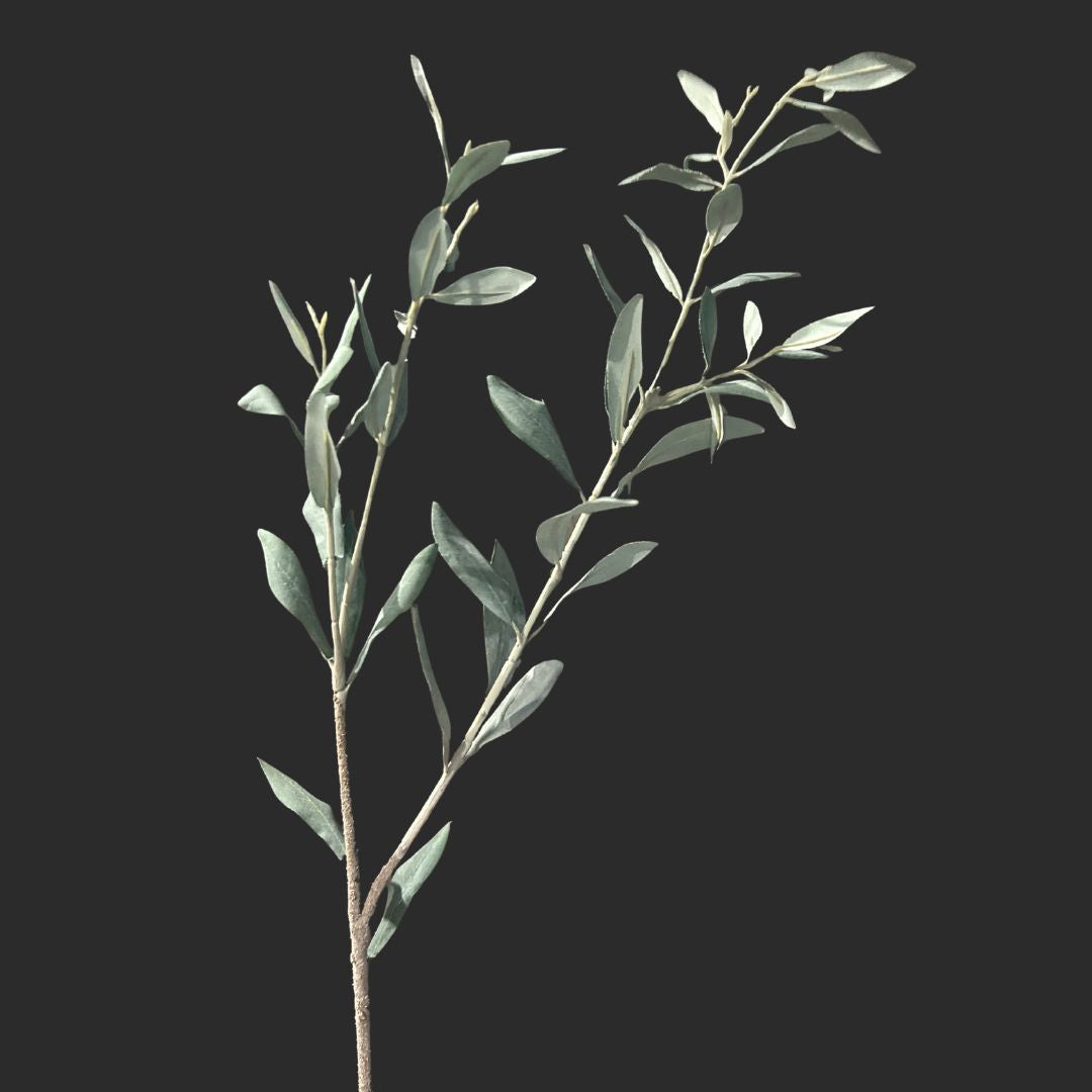 The Olive Leaves