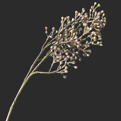 The Lavender Berry